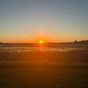 Meet your Posher, Catina